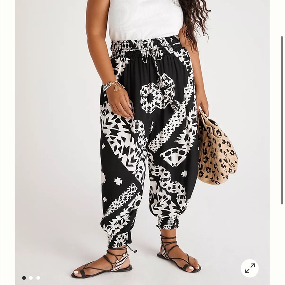 NWT Anthropologie Aniya Balloon Joggers - Picture 1 of 12
